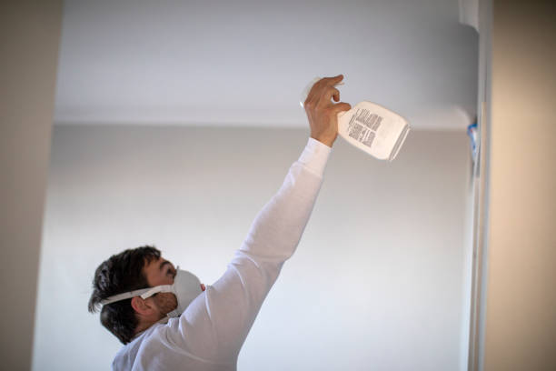 Professional Mold Removal in Fredonia, KS