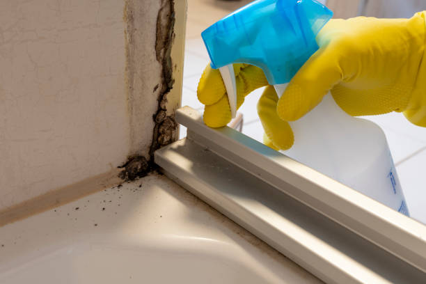 Best Toxic Mold Removal  in Fredonia, KS