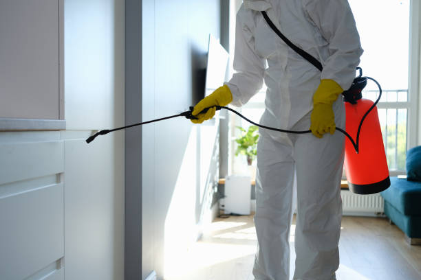 Best Best Mold Removal Companies  in Fredonia, KS