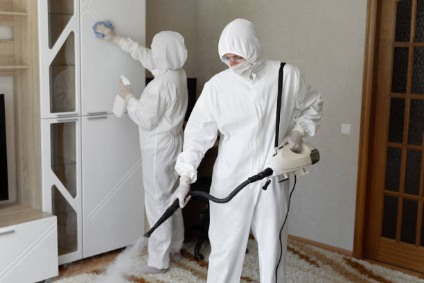 Best Professional Mold Removal  in Fredonia, KS