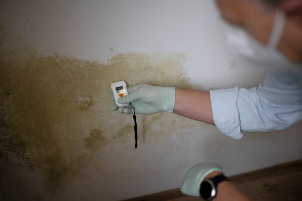 Best Mold Removal Specialists  in Fredonia, KS