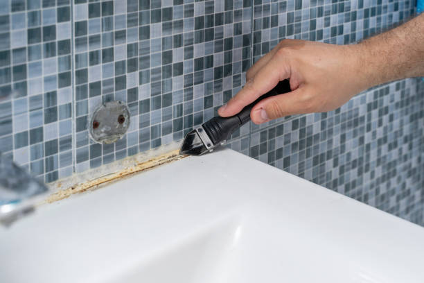 Best Mold Testing  in Fredonia, KS
