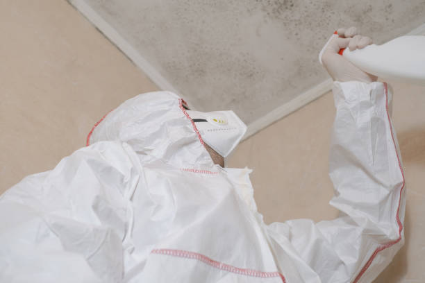Best Mold Removal Near Me  in Fredonia, KS