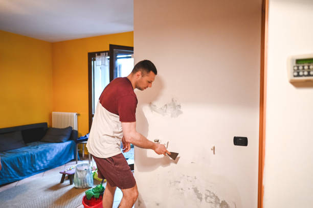 Best Emergency Mold Removal  in Fredonia, KS