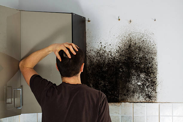 Best Residential Mold Removal  in Fredonia, KS