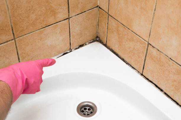 Best Fast Mold Removal  in Fredonia, KS